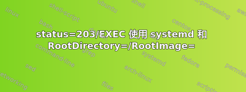 status=203/EXEC 使用 systemd 和 RootDirectory=/RootImage=