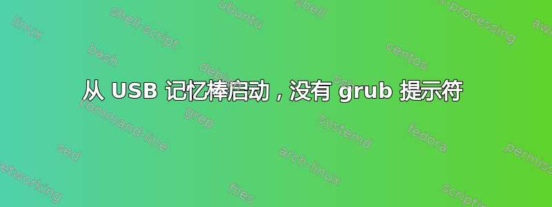 从 USB 记忆棒启动，没有 grub 提示符