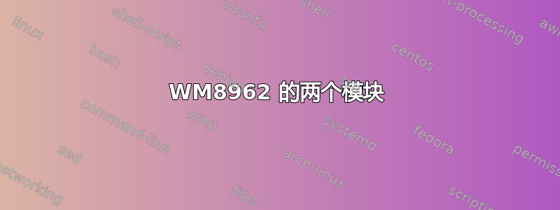 WM8962 的两个模块