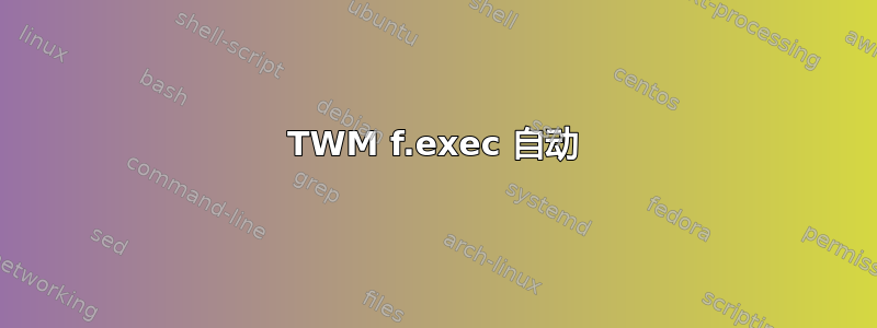 TWM f.exec 自动