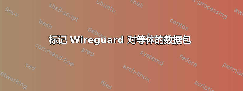 标记 Wireguard 对等体的数据包