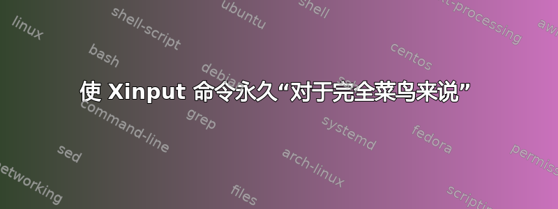 使 Xinput 命令永久“对于完全菜鸟来说”