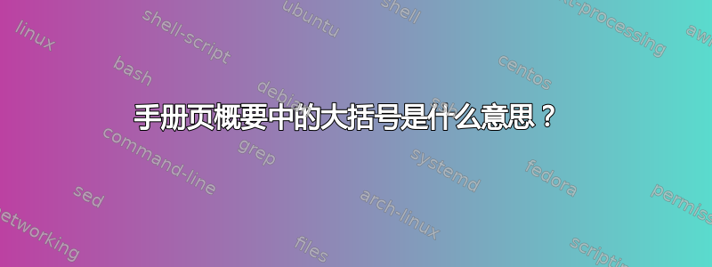 手册页概要中的大括号是什么意思？ 