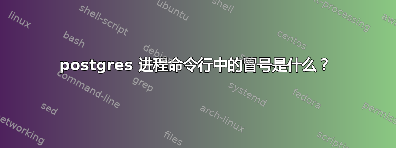 postgres 进程命令行中的冒号是什么？