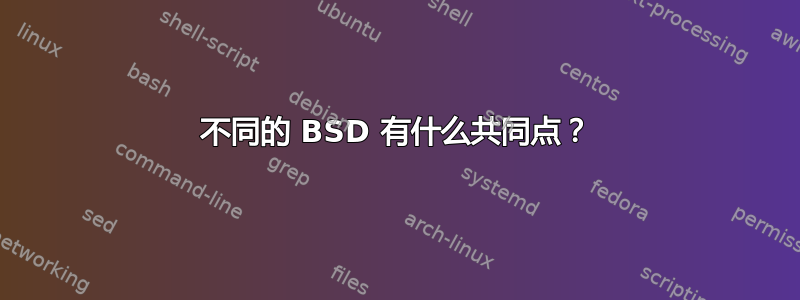 不同的 BSD 有什么共同点？