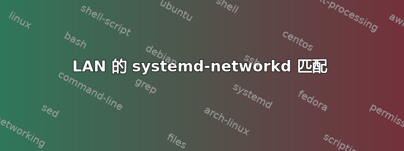 LAN 的 systemd-networkd 匹配