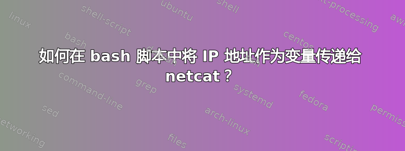 如何在 bash 脚本中将 IP 地址作为变量传递给 netcat？