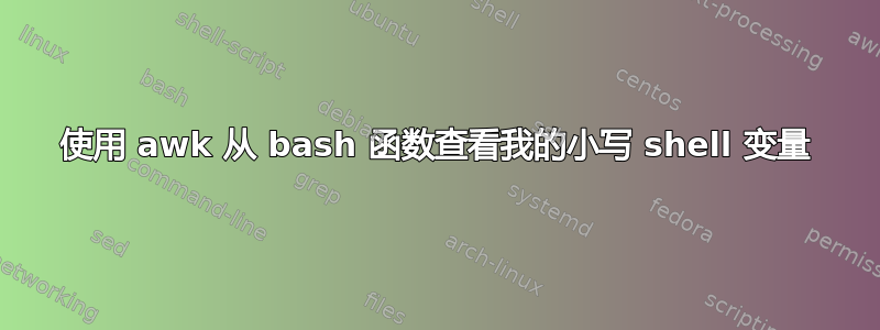 使用 awk 从 bash 函数查看我的小写 shell 变量