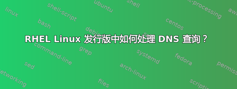 RHEL Linux 发行版中如何处理 DNS 查询？