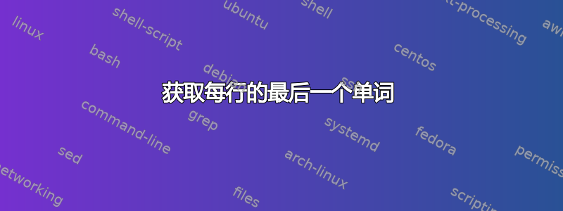 获取每行的最后一个单词