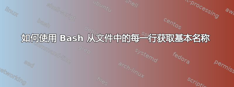 如何使用 Bash 从文件中的每一行获取基本名称