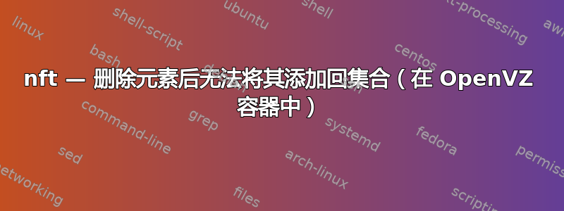 nft — 删除元素后无法将其添加回集合（在 OpenVZ 容器中）
