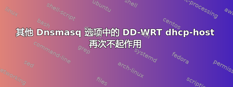 其他 Dnsmasq 选项中的 DD-WRT dhcp-host 再次不起作用