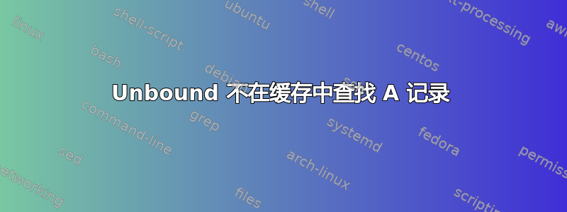 Unbound 不在缓存中查找 A 记录