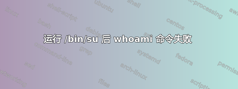 运行 /bin/su 后 whoami 命令失败