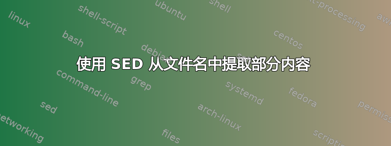 使用 SED 从文件名中提取部分内容