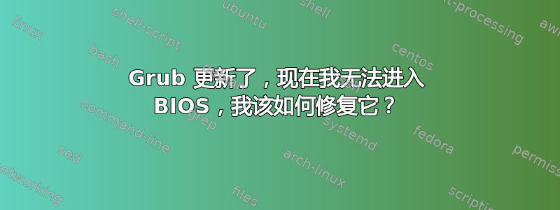 Grub 更新了，现在我无法进入 BIOS，我该如何修复它？