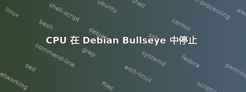 CPU 在 Debian Bullseye 中停止