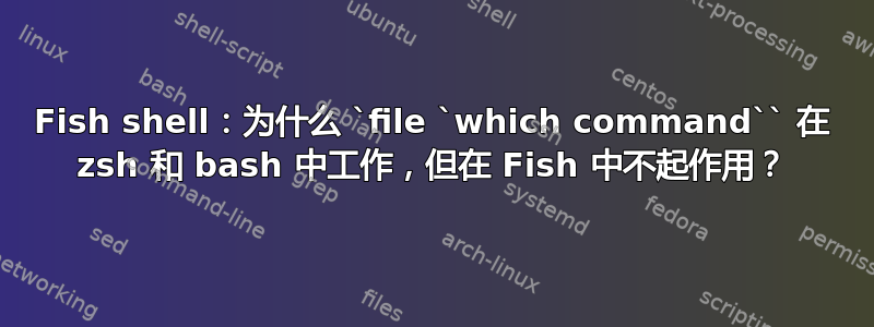 Fish shell：为什么 `file `which command`` 在 zsh 和 bash 中工作，但在 Fish 中不起作用？