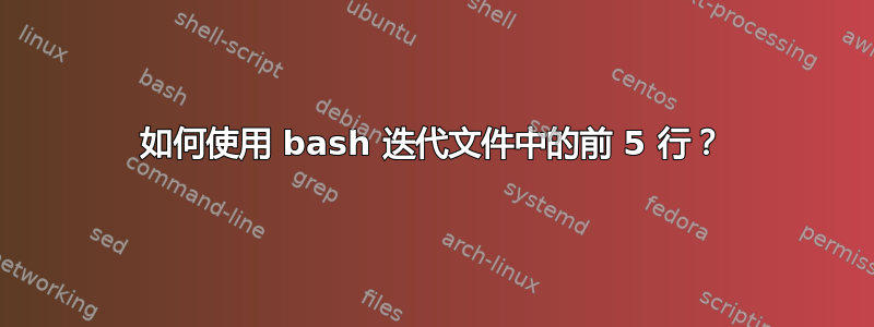 如何使用 bash 迭代文件中的前 5 行？