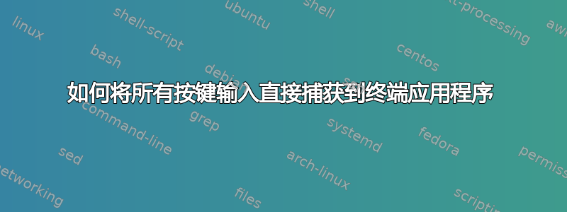 如何将所有按键输入直接捕获到终端应用程序