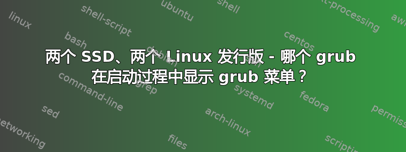 两个 SSD、两个 Linux 发行版 - 哪个 grub 在启动过程中显示 grub 菜单？