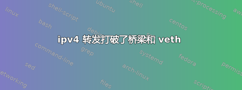 ipv4 转发打破了桥梁和 veth