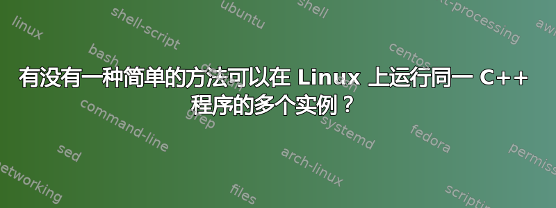 有没有一种简单的方法可以在 Linux 上运行同一 C++ 程序的多个实例？