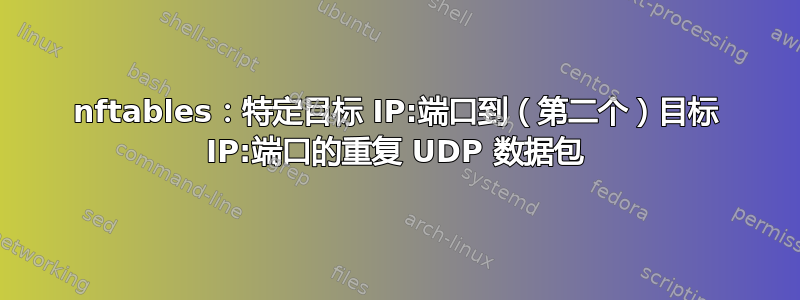 nftables：特定目标 IP:端口到（第二个）目标 IP:端口的重复 UDP 数据包