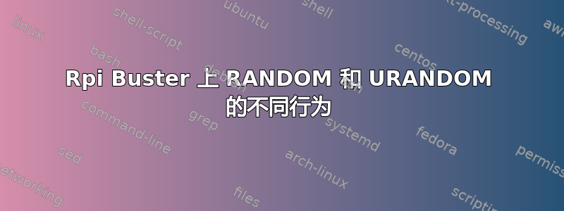 Rpi Buster 上 RANDOM 和 URANDOM 的不同行为