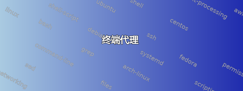 终端代理