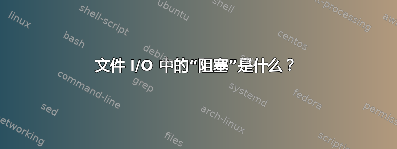 文件 I/O 中的“阻塞”是什么？