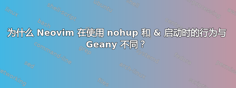 为什么 Neovim 在使用 nohup 和 & 启动时的行为与 Geany 不同？