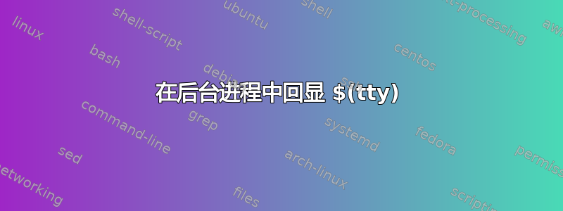 在后台进程中回显 $(tty)