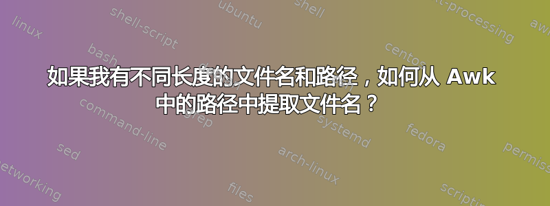 如果我有不同长度的文件名和路径，如何从 Awk 中的路径中提取文件名？ 