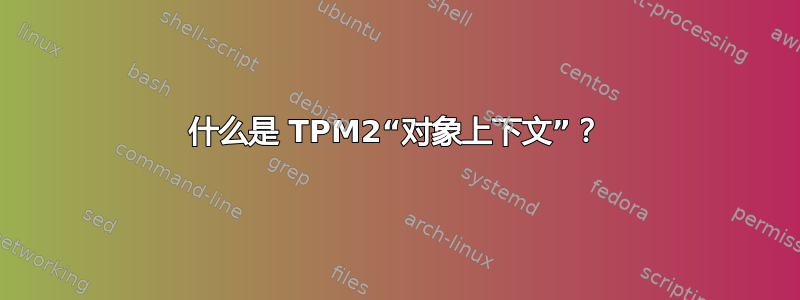 什么是 TPM2“对象上下文”？