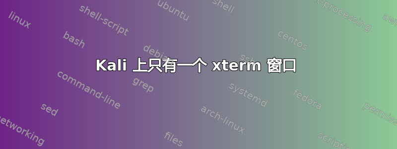 Kali 上只有一个 xterm 窗口