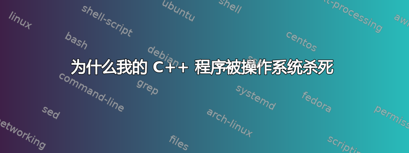 为什么我的 C++ 程序被操作系统杀死