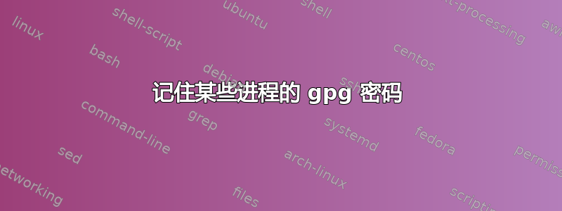 记住某些进程的 gpg 密码