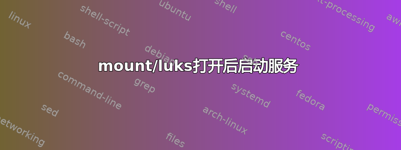 mount/luks打开后启动服务