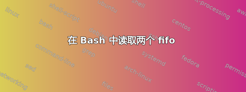 在 Bash 中读取两个 fifo