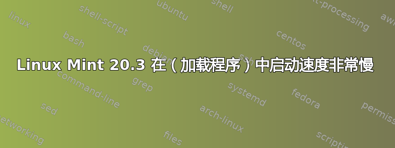 Linux Mint 20.3 在（加载程序）中启动速度非常慢