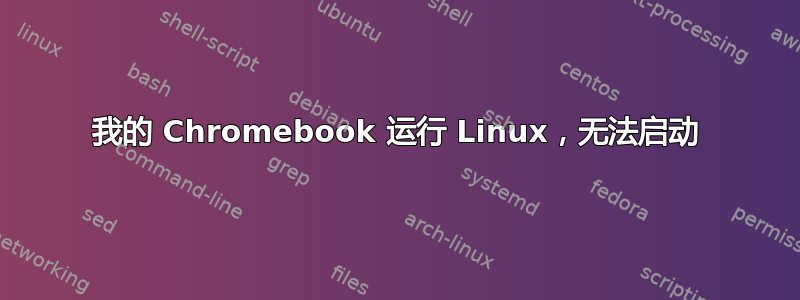 我的 Chromebook 运行 Linux，无法启动