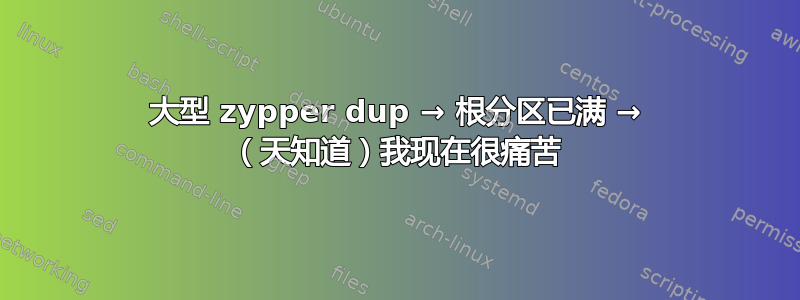 大型 zypper dup → 根分区已满 → （天知道）我现在很痛苦