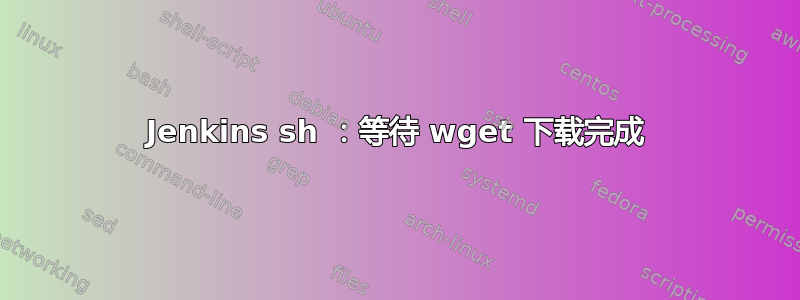 Jenkins sh ：等待 wget 下载完成