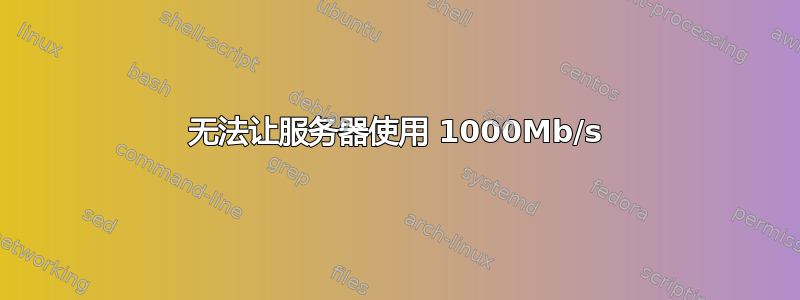 无法让服务器使用 1000Mb/s