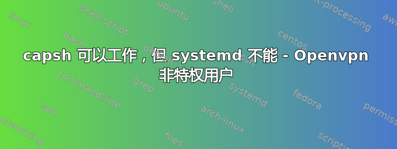 capsh 可以工作，但 systemd 不能 - Openvpn 非特权用户