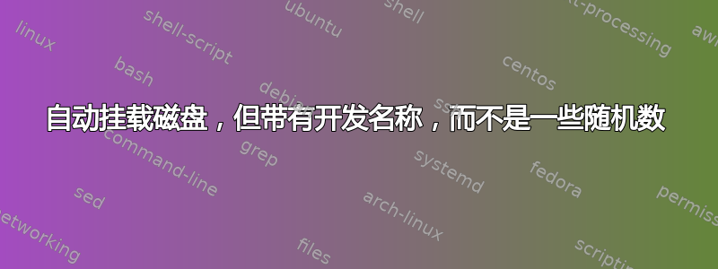 自动挂载磁盘，但带有开发名称，而不是一些随机数