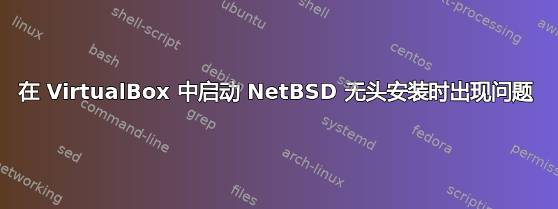 在 VirtualBox 中启动 NetBSD 无头安装时出现问题