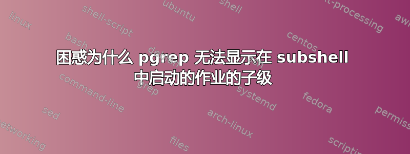 困惑为什么 pgrep 无法显示在 subshel​​l 中启动的作业的子级